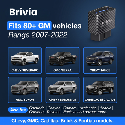 Brivia™ AFM/DFM Disabler